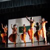 AGM / Cultural Programme 2008