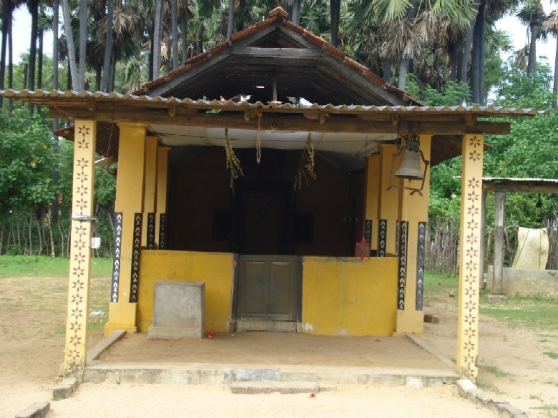 Meesiollai