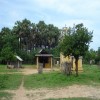 Meesiollai
