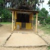 Meesiollai