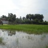 Moochchampalam