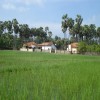 Moochchampalam