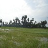 Moochchampalam