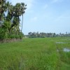 Moochchampalam