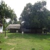 Moochchampalam