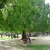 Moochchampalam