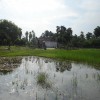 Moochchampalam