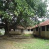 Puttalai
