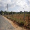 Puloly(Manthikai) School