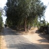 Puloly(Manthikai) School