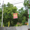 Day 1 Centenary Celebration 24th June 2016