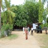 Day 2 Centenary Celebration 25th June 2016
