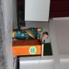 Day 2 Centenary Celebration 25th June 2016