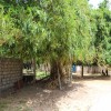 Day 3 Centenary celebration 26th June 2016